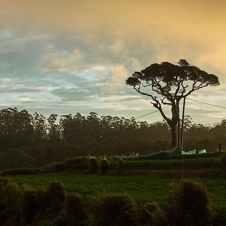 Grand Camellia Hotel Nuwara Eliya Luaran gambar