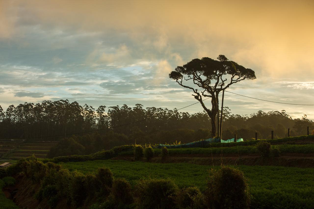 Grand Camellia Hotel Nuwara Eliya Luaran gambar